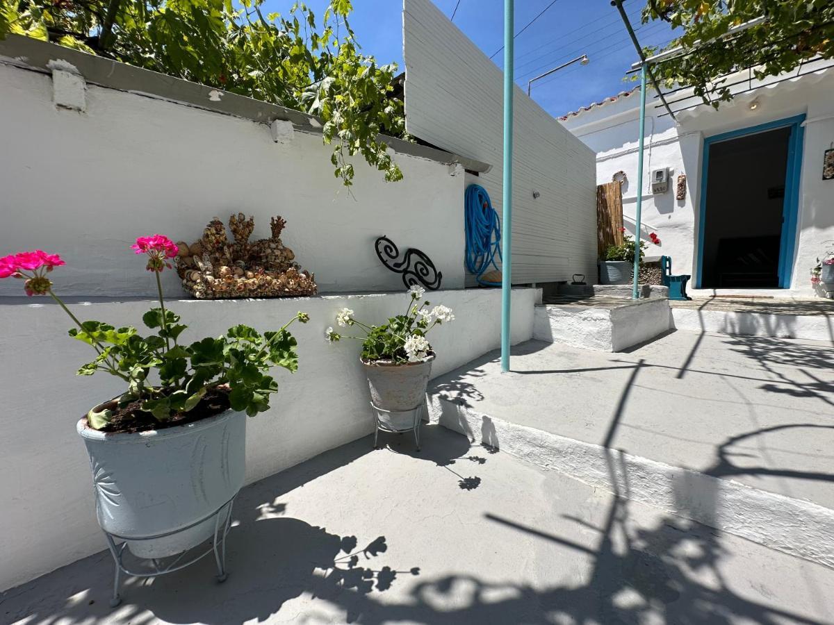 Brinia Cosy Apartment Πόρος Εξωτερικό φωτογραφία